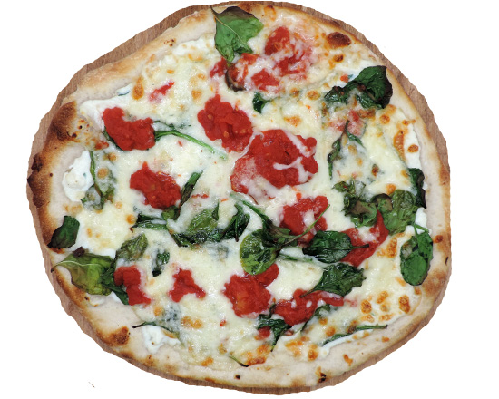 SPINACH (XL)  image